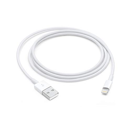 Apple Lightning auf USB- C Cable (1m)